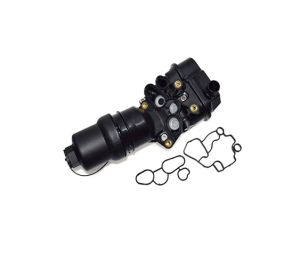 06F115397H Thermostat Assembly