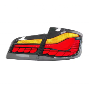 Car Parts LED Taillights for BMW F10 F18 Dragon Scale Style High Quality Rear Brake Lamp 2011-2017 M5 F18 for BMW F10