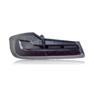 tail Lamp Assembly for BMW 5 Series G30 G38 2010-2019 Modified Dragon Scale LED Tail Light Tuning Lightings for BMW G30