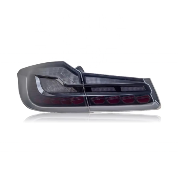 tail Lamp Assembly for BMW 5 Series G30 G38 2010-2019 Modified Dragon Scale LED Tail Light Tuning Lightings for BMW G30