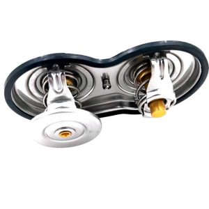Factory Direct High Quality Oem 1916620 1358995 1404924 Coolant Thermostat for Scania Truck