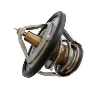 Professional Factory Wholesale 21200AA072 21210AA030 21200AA170 21210AA080 21200AA071 Car Thermostat Applies for Nissan