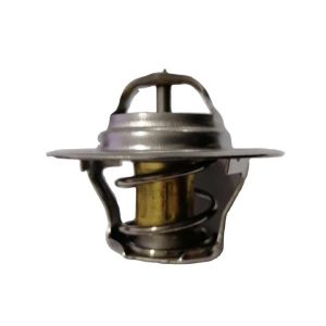 Professional Factory Wholesale High Quality MN980137 050121113C 06B121113A Coolant Thermostat for VM