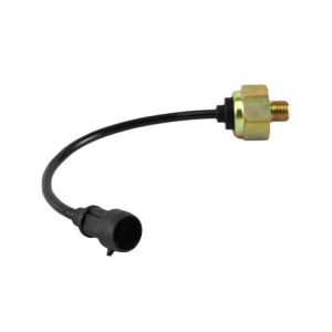 Truck Parts Oil Pressure Electric Sensor 3800520518 for FOTON Hongyan